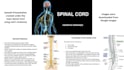 create unique  presentations in anatomy, physiology, and biochemistry