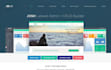 design and develop laravel web app and website for you