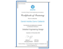 do projects related to chemical engineering