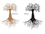redesign, redraw, edit logo, trace image in vector manually