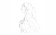 draw simple continuous lineart in 24 hours