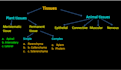 make power point presentation