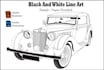 make vector line art or super detailed from your image