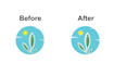 vector tracing and convert your logo or sketch to vector