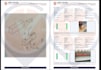 bim mep aec cad API asme aem ndt PDF reports data field logs json CSV