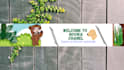 design profesional youtube banner