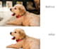 do 100 photos background removal