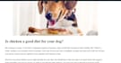 write pet articles and blogs for your dogs, and cats  etc