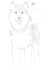 sketch your beloved pet