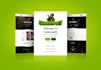 design responsive wordpress website design or blog