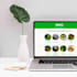 landing pages in one week
