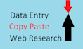 do excel data entry, copy paste and web research