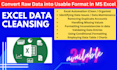 offer data validation, cleaning, formatting, dashboard and report creation