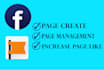 be your facebook page manager