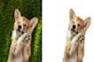 do a fancy background removal