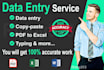 do data entry, copy paste, web research, and excel data