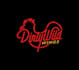 design dirty wild wings logo