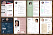 design a professional and stunning resume