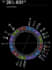 do natal chart reading