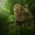 create fantasy illustrations and concept art
