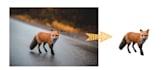 remove background on any image within 1 hour