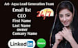 provide linkedin b2b lead generation
