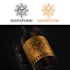 design a custom and affordable logo for you
