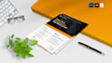 design a professional business flyer and one pager
