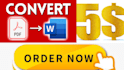 convert pdf to word