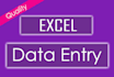 do excel data cleaning, excel data entry, data cleanup