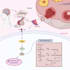 make your figures with innovative designs on biorender and powerpoint