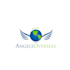 design angles overseas logo
