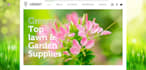 be your website designer and web developer