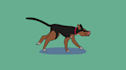 create a short 2d animation with your character
