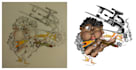 turn a hand drawing into a professional digital artwork