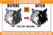vectorise, convert jpg, png to vector, vectorize logo or any image