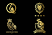 design professional lion logo or t shirt