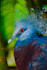 nature potography my contry