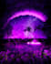 create your next space art for your cover