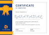 design professional certificate, diploma