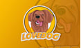 create high quality dogs, cats, pets cartoon logo