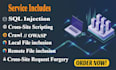 do advanced penetration and vulnerability test your website