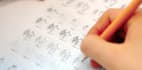help you learn everything about chinese