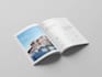design a professional business brochure and flyer
