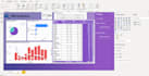 create professional reports and dashboards