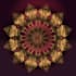 create the hand drawn luxury mandala