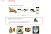 do monthly SEO service for your website google top rank