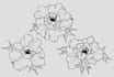 create a beautiful flower tattoo