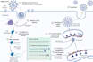 create figures and graphs for your manuscript and articles
