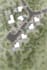 create 3d site plan